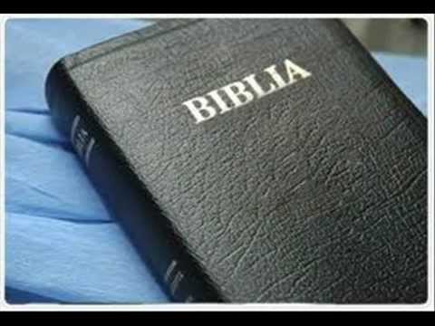 REFLEXIONES -LA BIBLIA